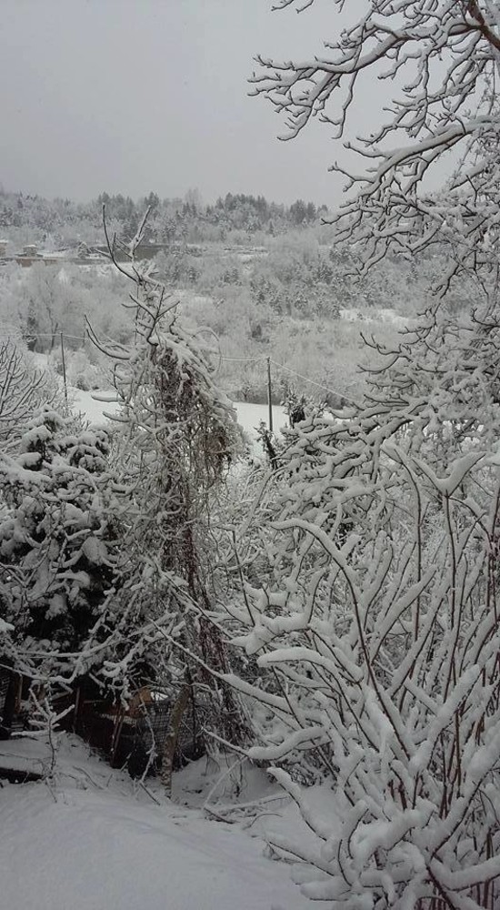 Neve in Val Bormida. Allerta fino alle 15. FOTO E VIDEO