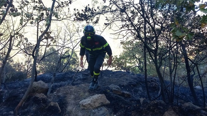 Fiamme nei boschi dell'entroterra ingauno: incendio sotto controllo, prosegue la bonifica (FOTO e VIDEO)