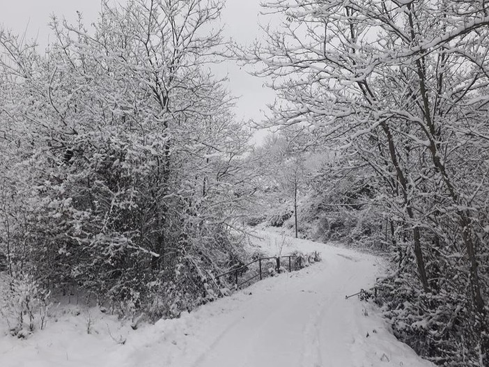 Colpo di coda dell'inverno, pioggia e neve fino a bassa quota in questo fine febbraio