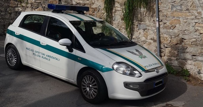 Alassio, controlli a tappeto e raffiche di multe per l’errato conferimento dei rifiuti, Galtieri: “Necessario per risolvere il problema”