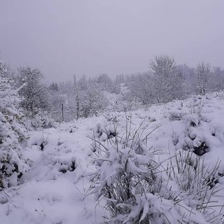 Maltempo, 30 centimetri di neve sul monte Settepani. Pioggia sulla costa savonese