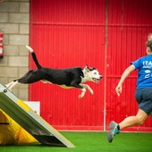 La storia del campione di Agility Nemo e di Sara: &quot;Eri qualcosa di speciale, ora corri felice in mezzo al campo pieno di ostacoli&quot;