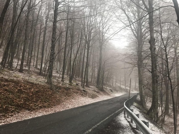 Lieve maltempo, una spolverata di neve sul Melogno