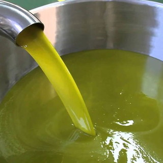 L'Olio Dop Riviera Ligure e i muretti a secco della nostra regione conquistano il Parlamento Europeo