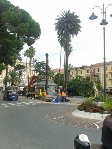 Albenga, si interviene sul verde pubblico