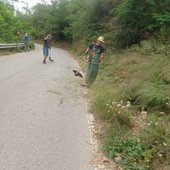 Savona, i residenti di via Valcada e alla Strà puliscono la strada dalle erbacce: &quot;Avevamo fatto segnalazione al Comune, nessuno è intervenuto&quot;