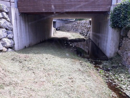 Carcare pulisce gli affluenti del fiume Bormida, il sindaco De Vecchi: &quot;Lavori per mitigare il rischio alluvionale&quot; (FOTO)