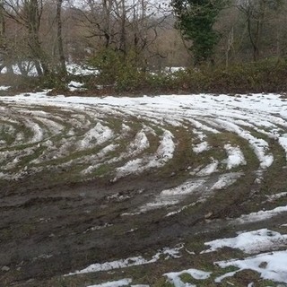 Area danneggiata dal passaggio delle auto nel parco del Beigua