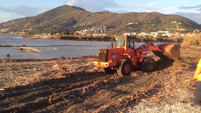 Albenga pulisce le spiagge dal legno alluvionale