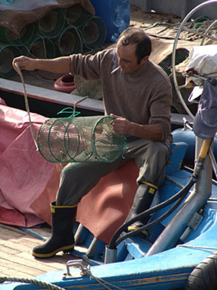 Pesca al bianchetto e del rossetto, la replica di Federcoopesca