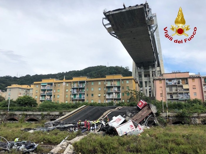 I cani coraggiosi dei soccorritori in prima linea a Genova (VIDEO)