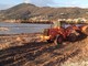 Albenga pulisce le spiagge dal legno alluvionale