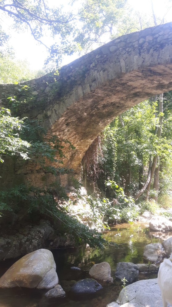 Ponte dei Bassi ad Erli a rischio crollo, il sindaco Carretto: &quot;Danneggiato dal 2016, non mi hanno ancora risposto da Regione e Sovrintendenza&quot;