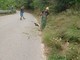 Savona, i residenti di via Valcada e alla Strà puliscono la strada dalle erbacce: &quot;Avevamo fatto segnalazione al Comune, nessuno è intervenuto&quot;