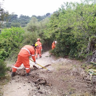 Albenga, pulizia straordinaria della via Julia Augusta da parte della Protezione civile (FOTO)