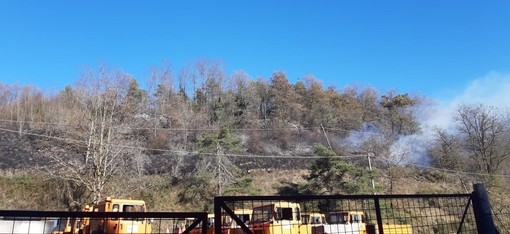 Incendio pineta a Cosseria: in azione vigili del fuoco e AIB