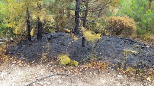 Finale, principio d'incendio boschivo a Gorra: fiamme prontamente domate