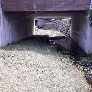 Carcare pulisce gli affluenti del fiume Bormida, il sindaco De Vecchi: &quot;Lavori per mitigare il rischio alluvionale&quot; (FOTO)