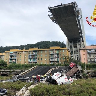 I cani coraggiosi dei soccorritori in prima linea a Genova (VIDEO)