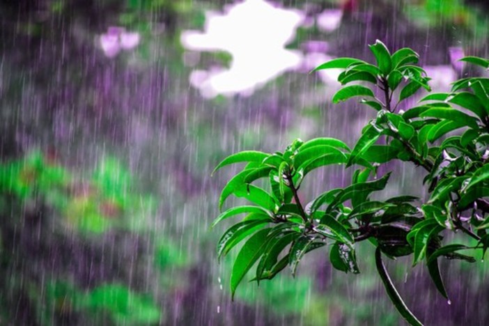 Meteo: dopo due mesi di siccità da domani pioggia in arrivo