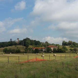 Foto pagina Facebook &quot;Salviamo il prato del Parco Piantelli #iostoconilprato&quot;