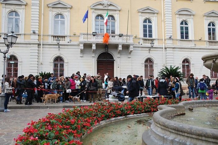 Successo per la passeggiata benefica a sei zampe ad Alassio