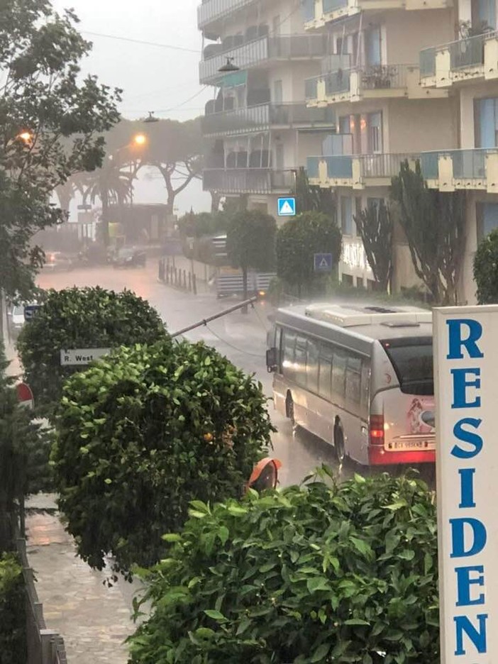 Alassio: palo abbattuto nei pressi dell'hotel Majestic