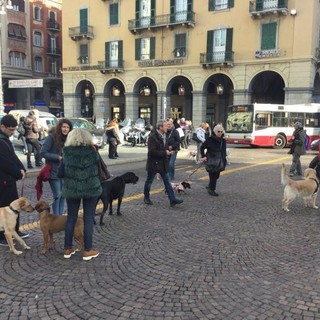 Savona, modificata l'ordinanza antideiezioni canine: &quot;Non verrà sanzionato chi pulisce&quot;