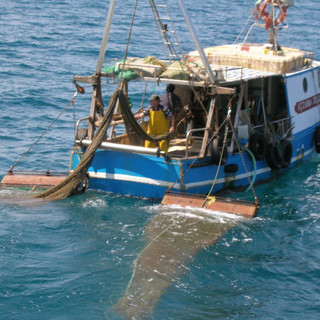 UE, Coldiretti Pesca: &quot;Ottenute misure meno severe che favoriscono l’intero settore&quot;