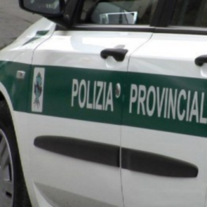 Polizia Provinciale, De Ferrari:&quot;La Regione mantiene solo il 30% del corpo, e le ecomafie ringraziano&quot;