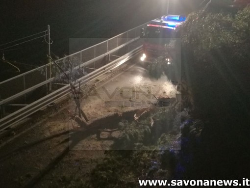 Mario Carrara all'attacco contro la &quot;desertificazione&quot; di Pietra Ligure