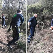 Celle, la protezione civile pulisce il sentiero Liguria da Pecorile a Sanda (FOTO)