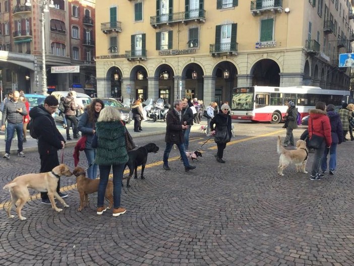 Savona, modificata l'ordinanza antideiezioni canine: &quot;Non verrà sanzionato chi pulisce&quot;