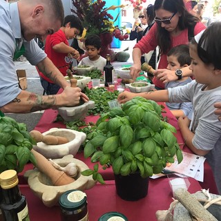 Cipolla belendina e basilico genovese dop di Andora protagonisti a Fossano di Expoflora 2019