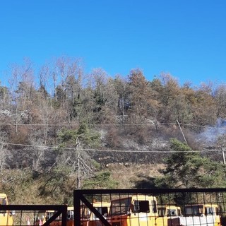 Incendio pineta a Cosseria: in azione vigili del fuoco e AIB