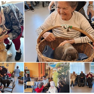 Savona, con la pet therapy il cagnolino Leone, le coniglie Girella e Penelope fanno felici gli ospiti de La Riviera