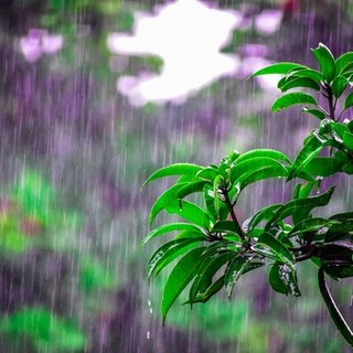 Meteo, ancora cielo coperto in Liguria: sabato prevista pioggia