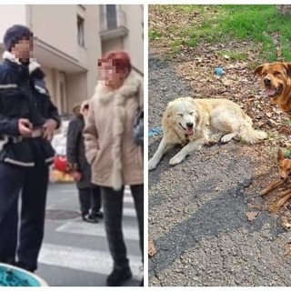 Albisola, un'artista di strada contro un agente della polizia locale: &quot;Vuole sparare al mio cane, la denuncio&quot;