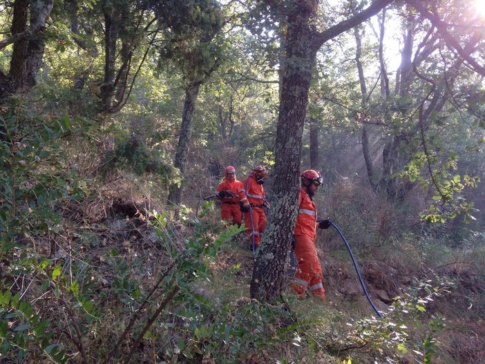 Due squadre della Protezione Civile in partenza per dare supporto all'incendio di Dolcedo