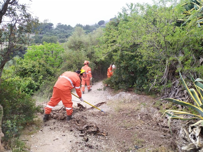 Albenga, pulizia straordinaria della via Julia Augusta da parte della Protezione civile (FOTO)