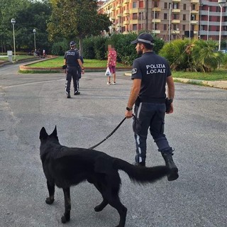 Savona, &quot;beccato&quot; a vendere hashish ad un minore: il Gip dispone il divieto di dimora in provincia