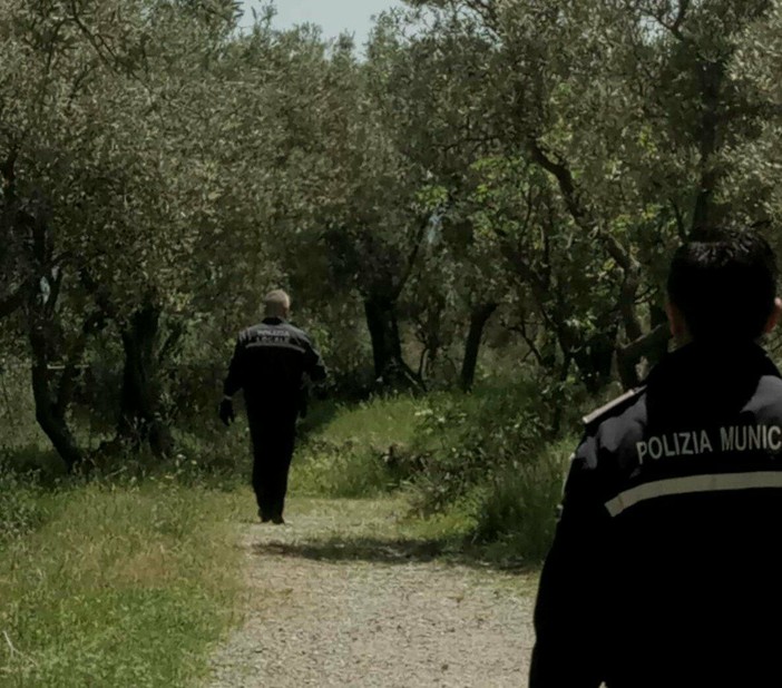 Ancora spaccio di cocaina a Ceriale: proseguono le indagini della polizia locale