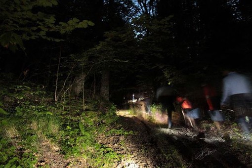 Montegrosso: il 28 passeggiata notturna nei boschi
