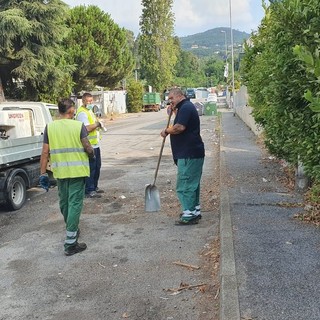 Savona, rifiuti e auto abbandonate in zona Paip a Legino: pulita l'area (FOTO)