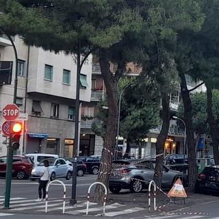 Ramo pericolante in corso Tardy e Benech, al via la rimozione