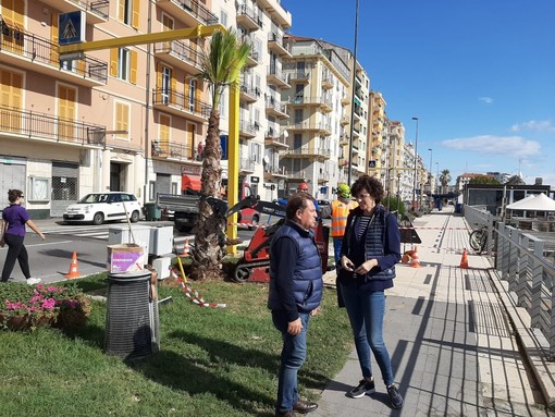 Savona, tornano le palme alle Fornaci: 14 in arrivo in corso Vittorio Veneto (FOTO e VIDEO)