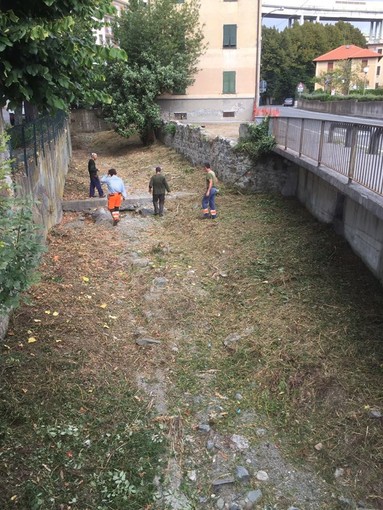 Celle, taglio selettivo della vegetazione e rimozione dei rifiuti urbani nel rio Sanda