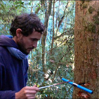 Vado: a Bossarino nasce Tecnoforest per interventi di riforestazione