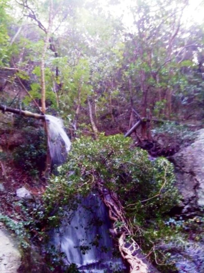 Tovo San Giacomo: tubazione riparata, entro stasera sarà ripristinata l'erogazione dell'acqua