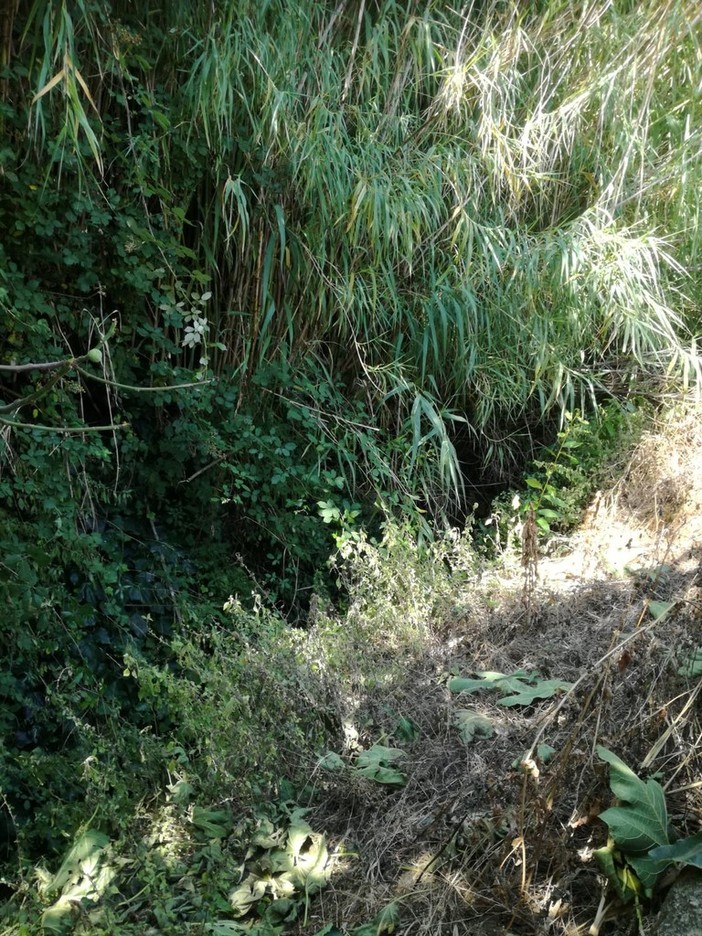 Nuova allerta meteo: ad Albenga paura per le condizioni del rio Carenda (FOTO)